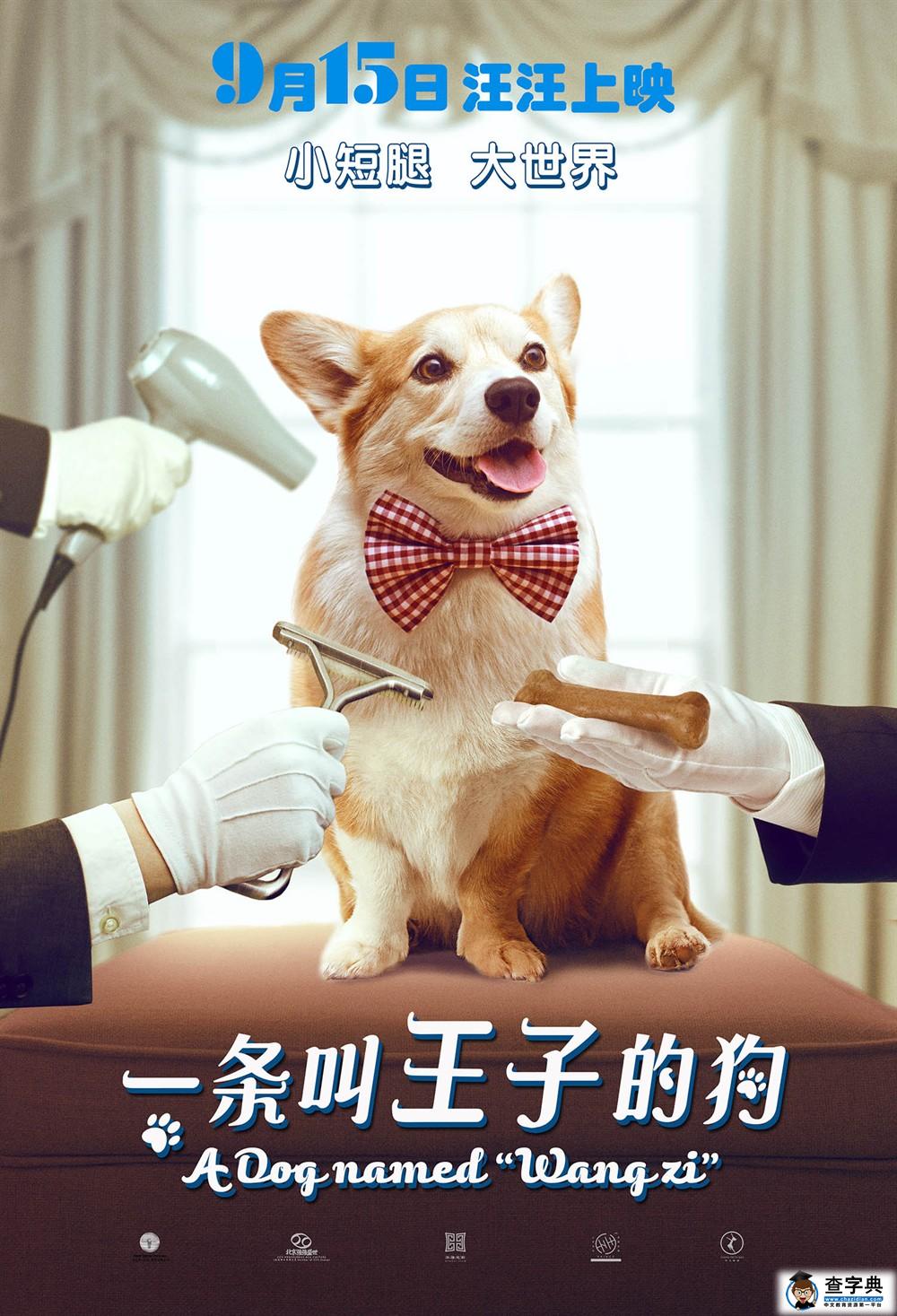 电影《一条叫王子的狗》