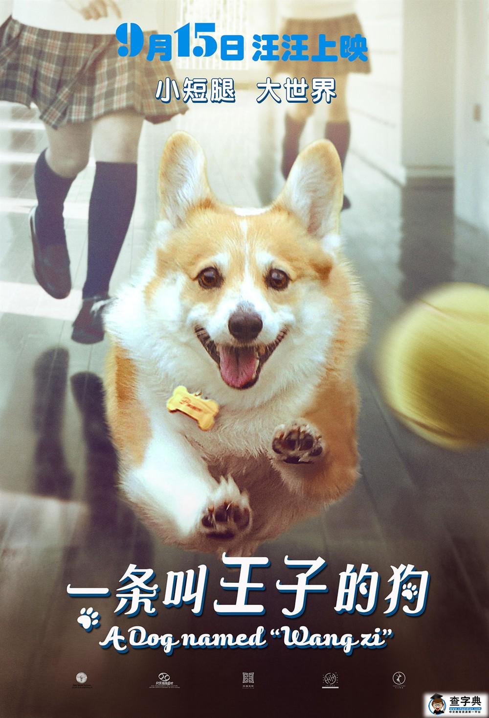 电影一条叫王子的狗百度云下载地址