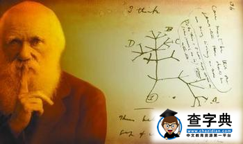 物种起源读后感精选
