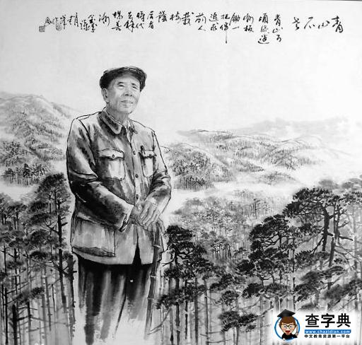 青山不老的读后感200字