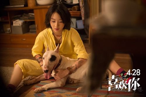喜欢你电影插曲、主题曲、片尾曲、背景音乐、歌曲歌词mv视频完整版在线试听下载3