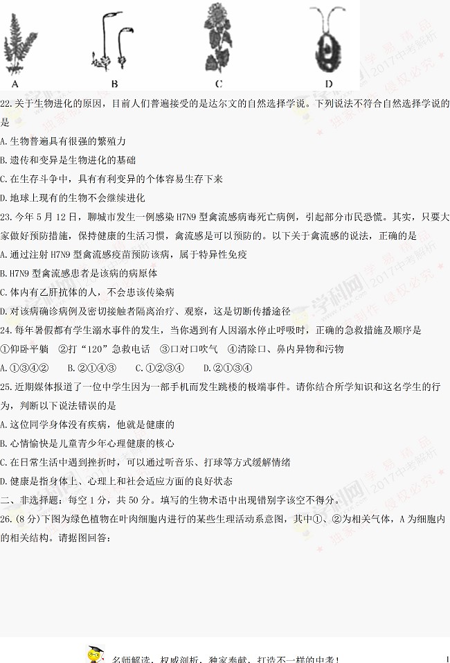 山东聊城2017年中考生物试题及参考答案4