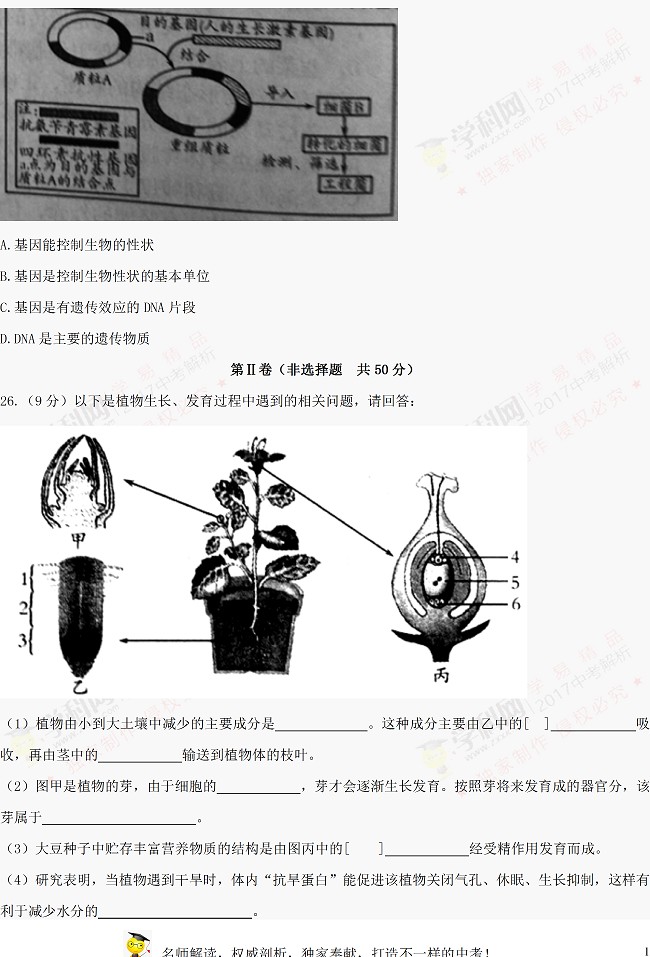 山东潍坊2017年中考生物试题及参考答案6