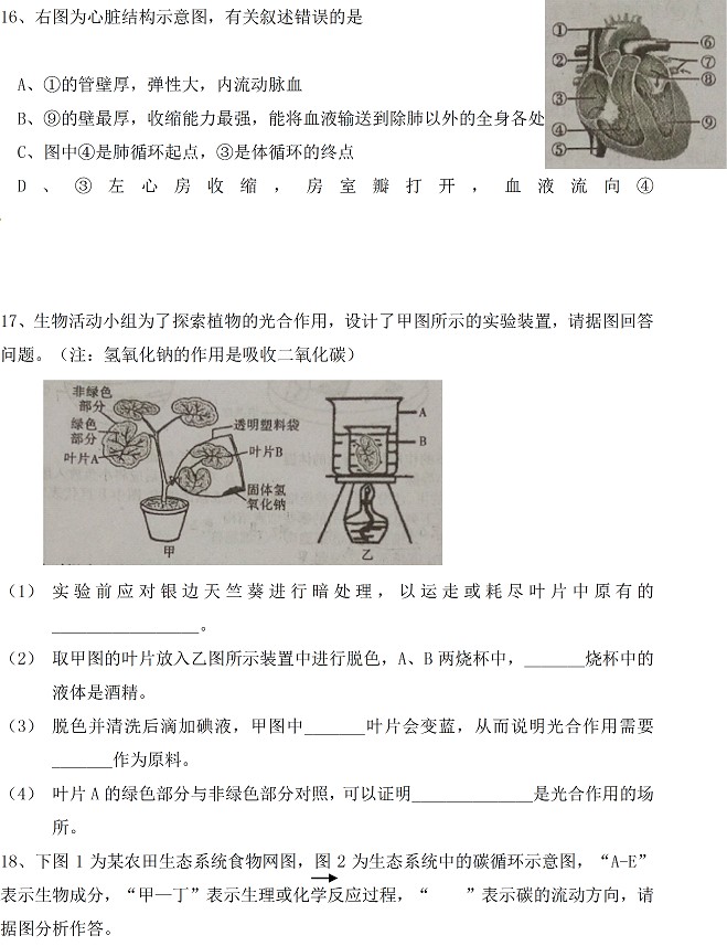 四川省内江市2017年中考生物试题及答案4