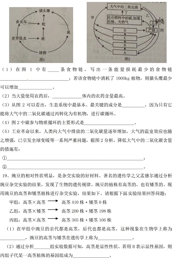 四川省内江市2017年中考生物试题及答案5