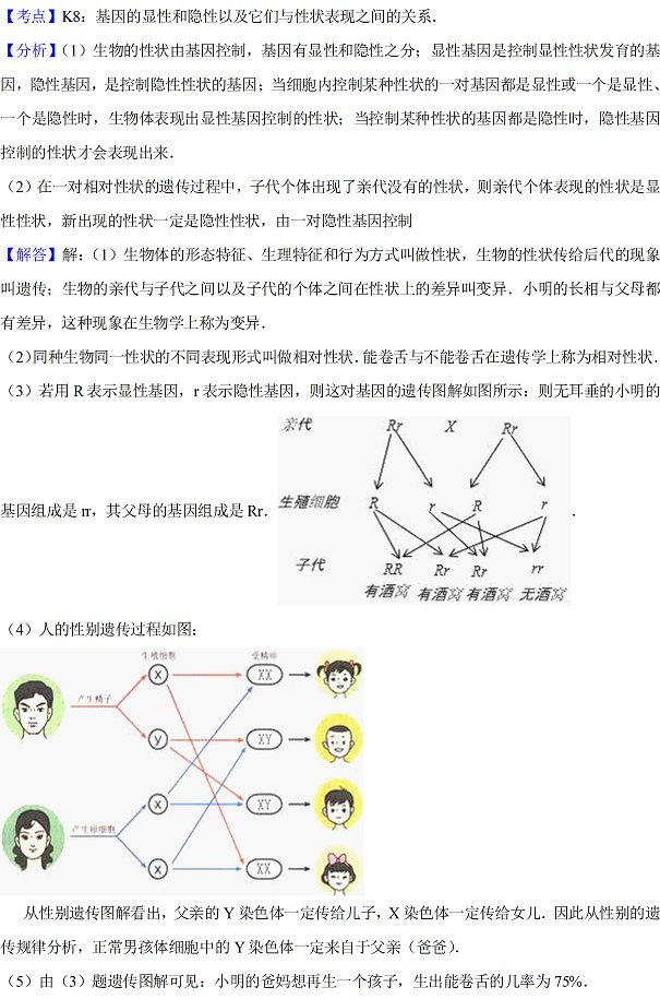 江苏无锡及宜兴2017年中考生物试题及答案解析35