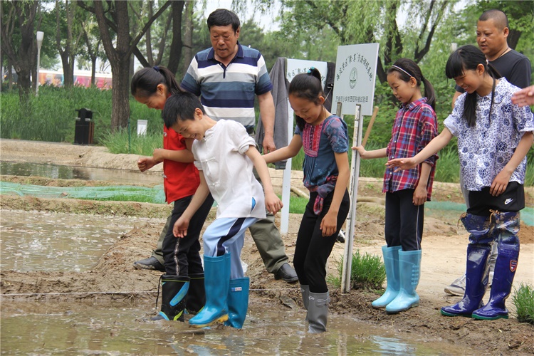 中关村二小万泉河分校：弘扬中华农耕文化 践行时代劳动精神1