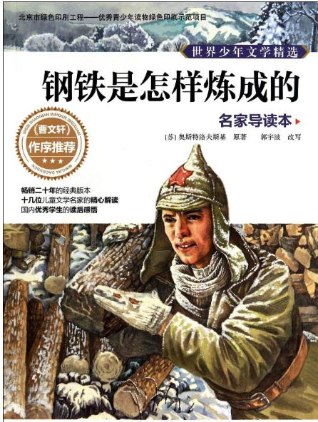 六年级寒假读《钢铁是怎样炼成的》有感作文1