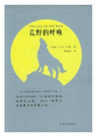 荒野的呼唤的读后感400字左右1
