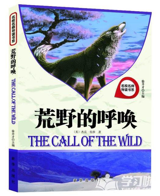 荒野的呼唤读后感300字左右1