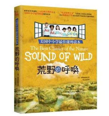 荒野的呼唤优秀读后感1000字1