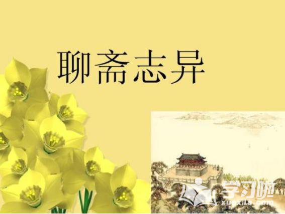聊斋志异读后感范文500字1