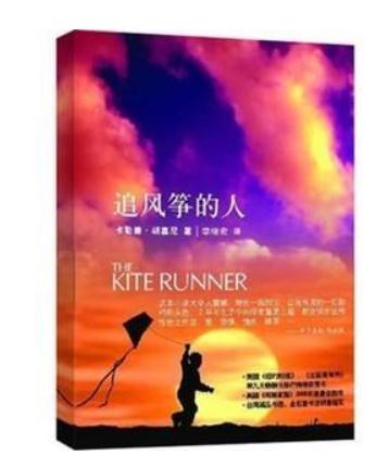 追风筝的人读后感350字左右1