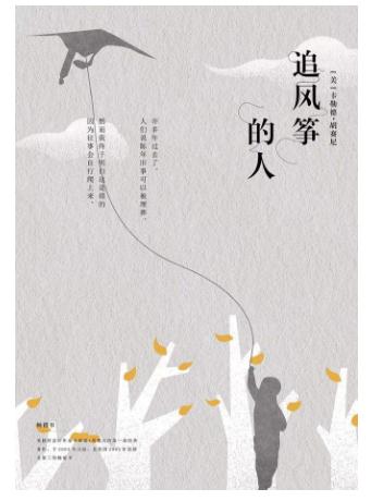 追风筝的人读后感范文800字1