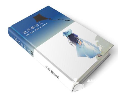追风筝的人读后感800字左右1