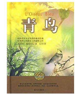 青鸟的读后感范文450字1