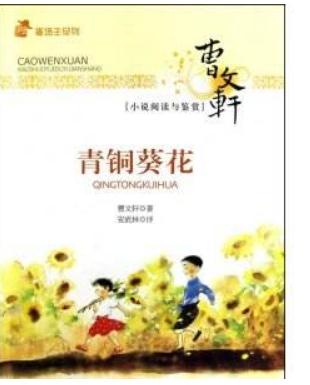 青铜葵花的读后感300字左右1