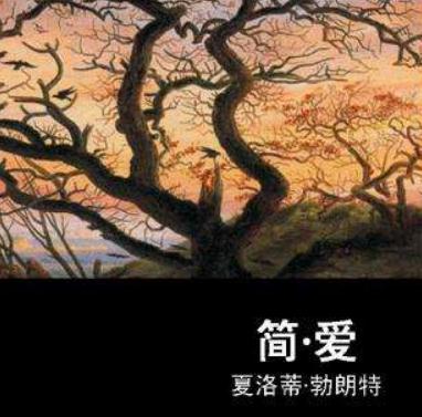 简爱的优秀读后感3000字1