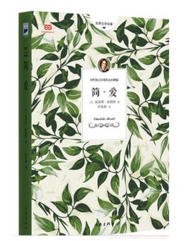 简爱的读后感800字范文1
