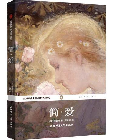 简爱的读后感500字范文1
