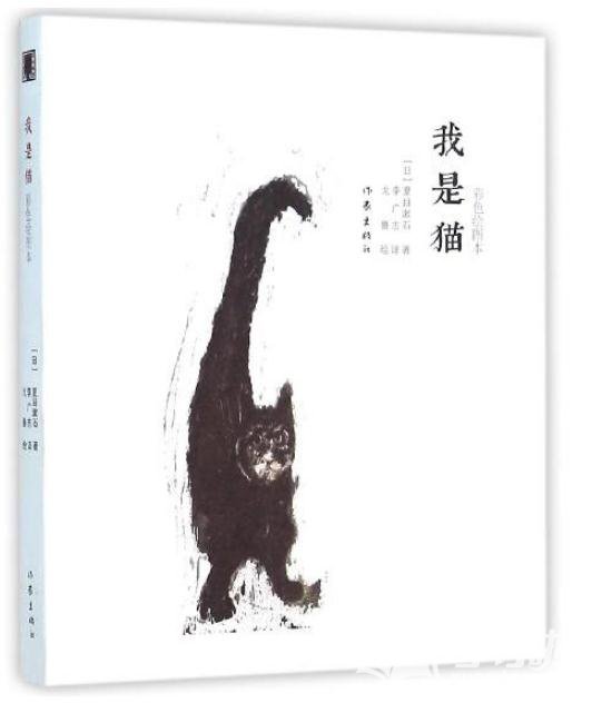 我是猫的读后感精选500字1