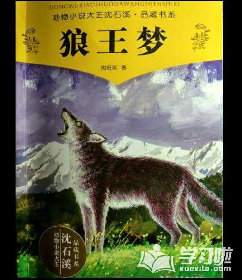 狼王梦的读后感范文1000字1