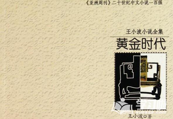 黄金时代读后感1500字范文1
